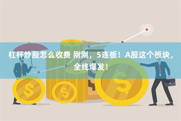 杠杆炒股怎么收费 刚刚，5连板！A股这个板块，全线爆发！