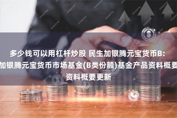 多少钱可以用杠杆炒股 民生加银腾元宝货币B: 民生加银腾元宝货币市场基金(B类份额)基金产品资料概要更新