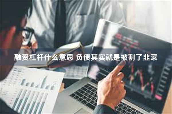 融资杠杆什么意思 负债其实就是被割了韭菜