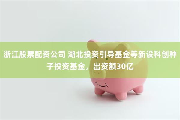 浙江股票配资公司 湖北投资引导基金等新设科创种子投资基金，出资额30亿